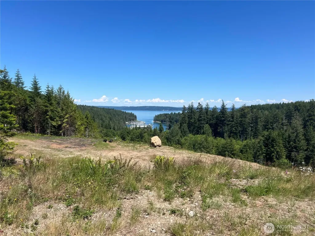 3 Mt Jupiter Road Brinnon WA 98320