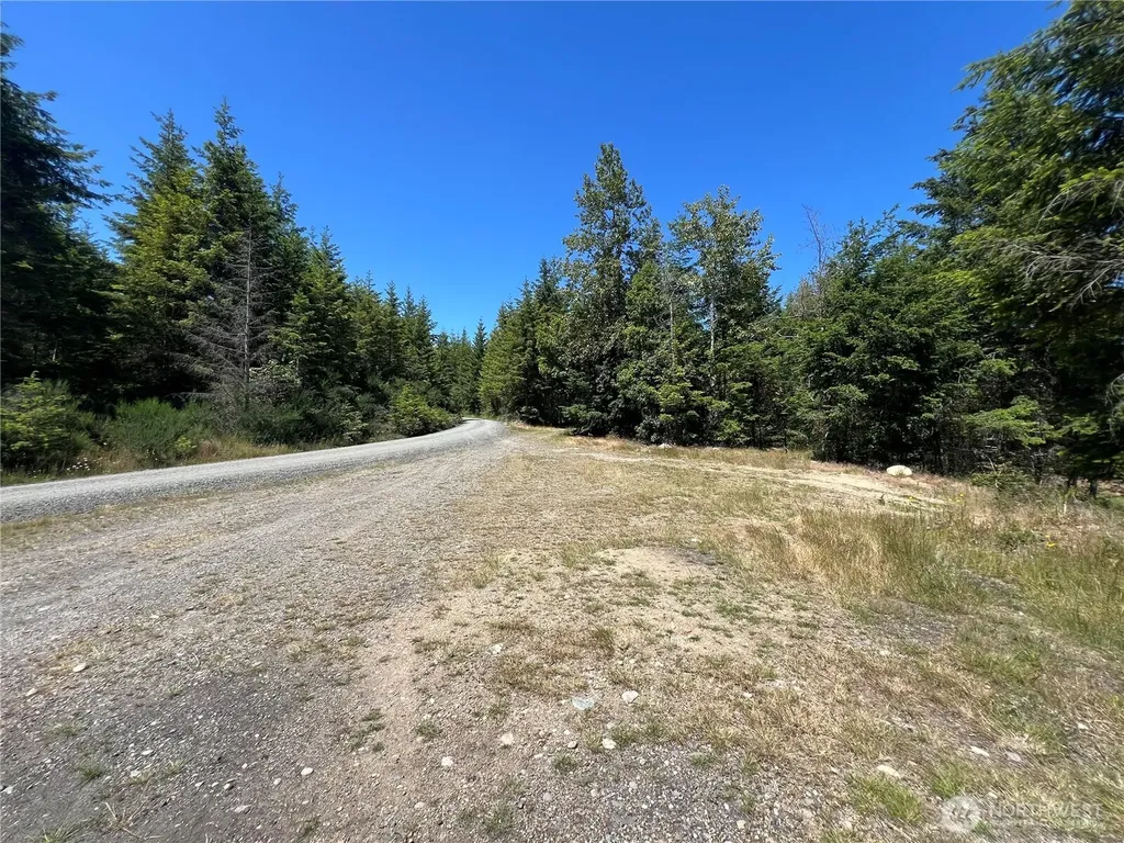 3 Mt Jupiter Road Brinnon WA 98320