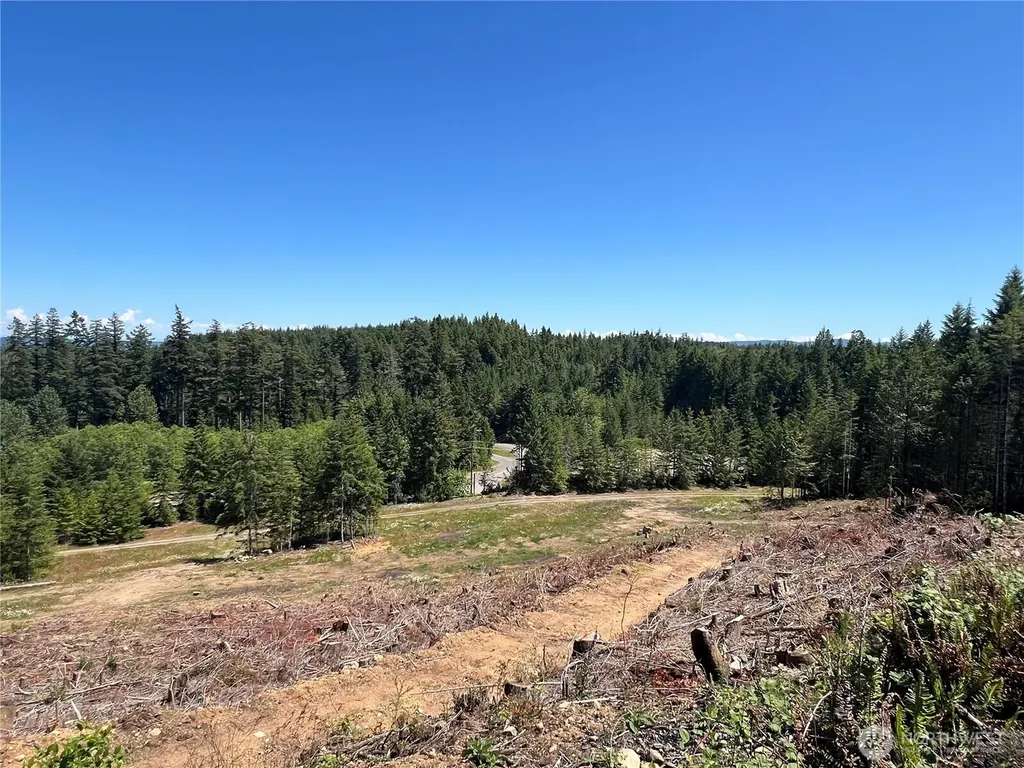 3 Mt Jupiter Road Brinnon WA 98320