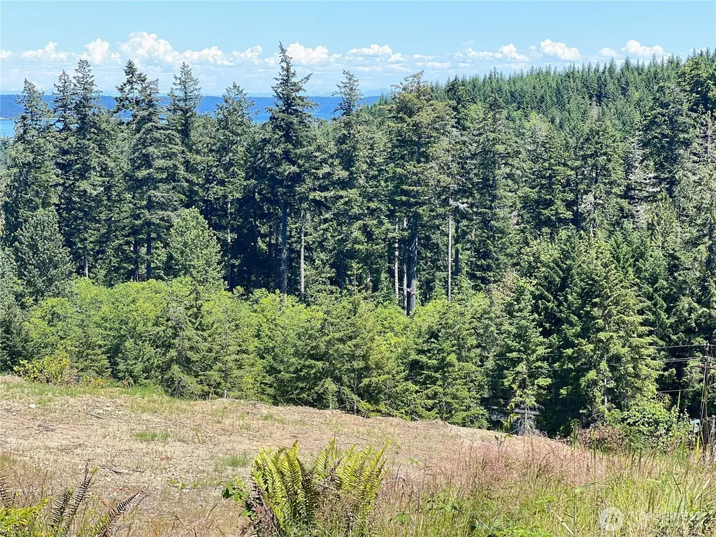 3 Mt Jupiter Road Brinnon WA 98320
