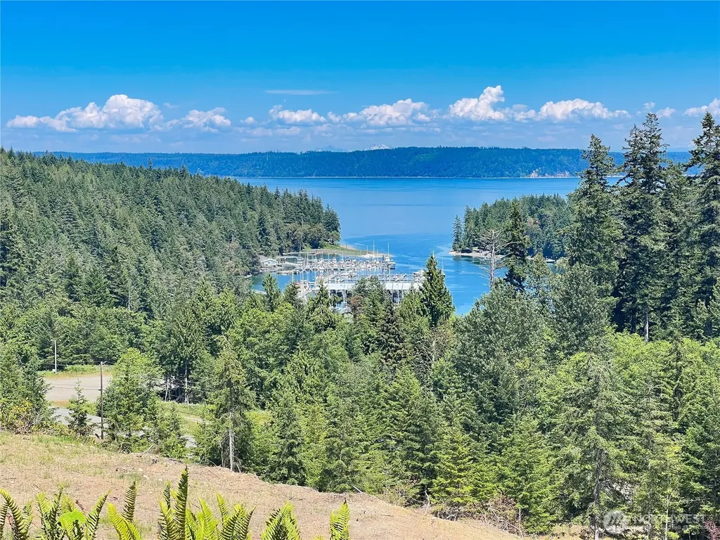 3 Mt Jupiter Road Brinnon WA 98320