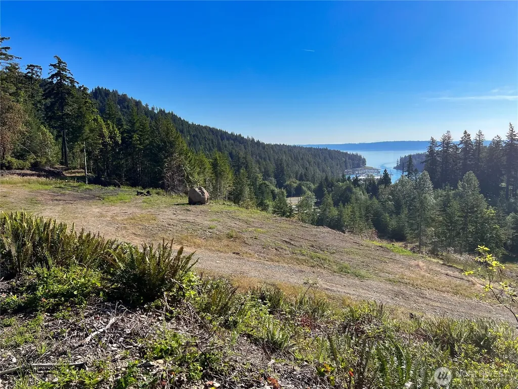 3 Mt Jupiter Road Brinnon WA 98320