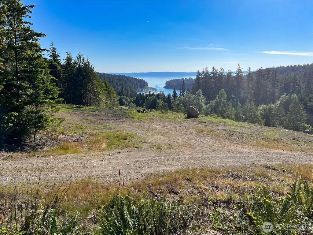 3 Mt Jupiter Road Brinnon WA 98320