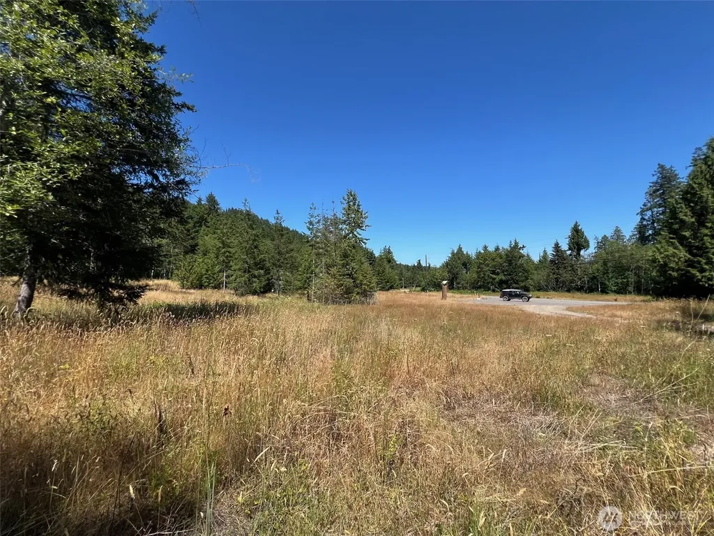 3 Mt Jupiter Road Brinnon WA 98320