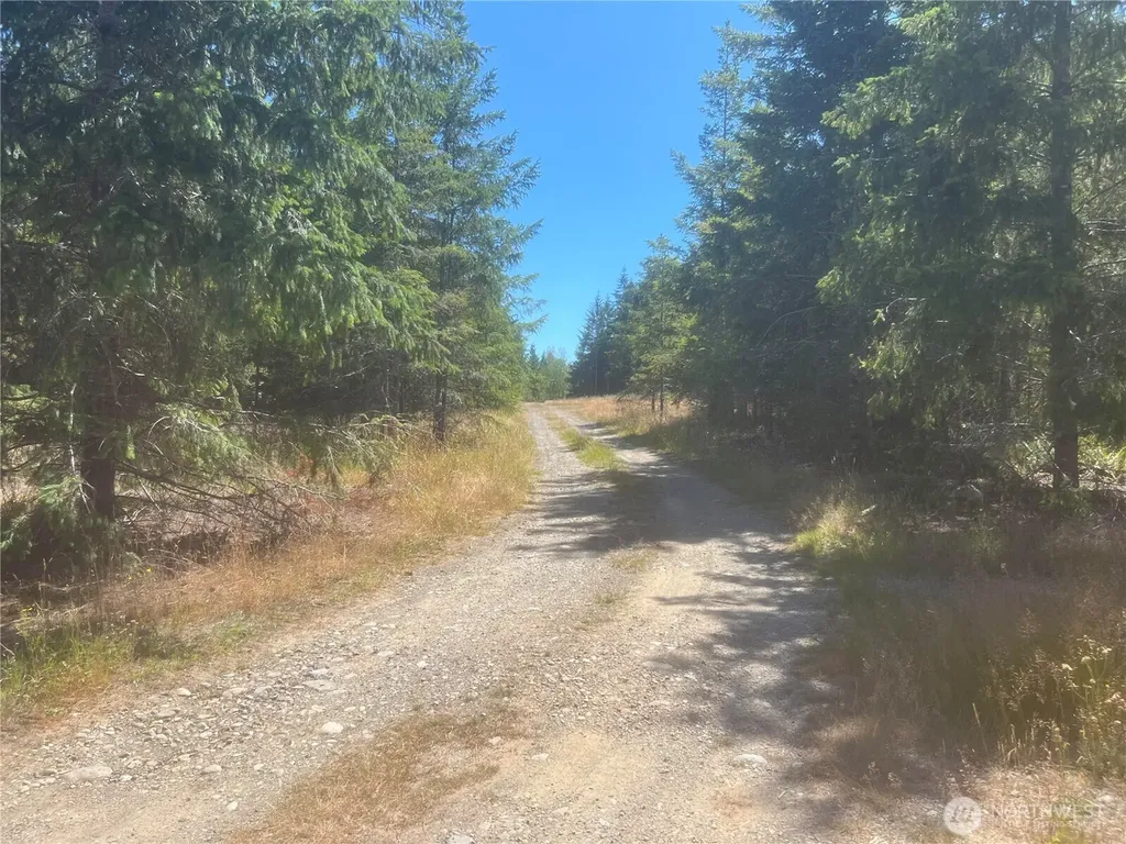 3 Mt Jupiter Road Brinnon WA 98320