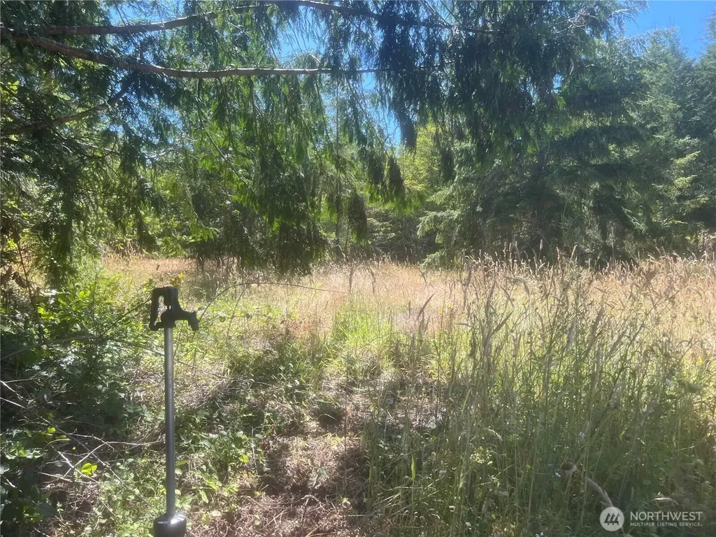 3 Mt Jupiter Road Brinnon WA 98320