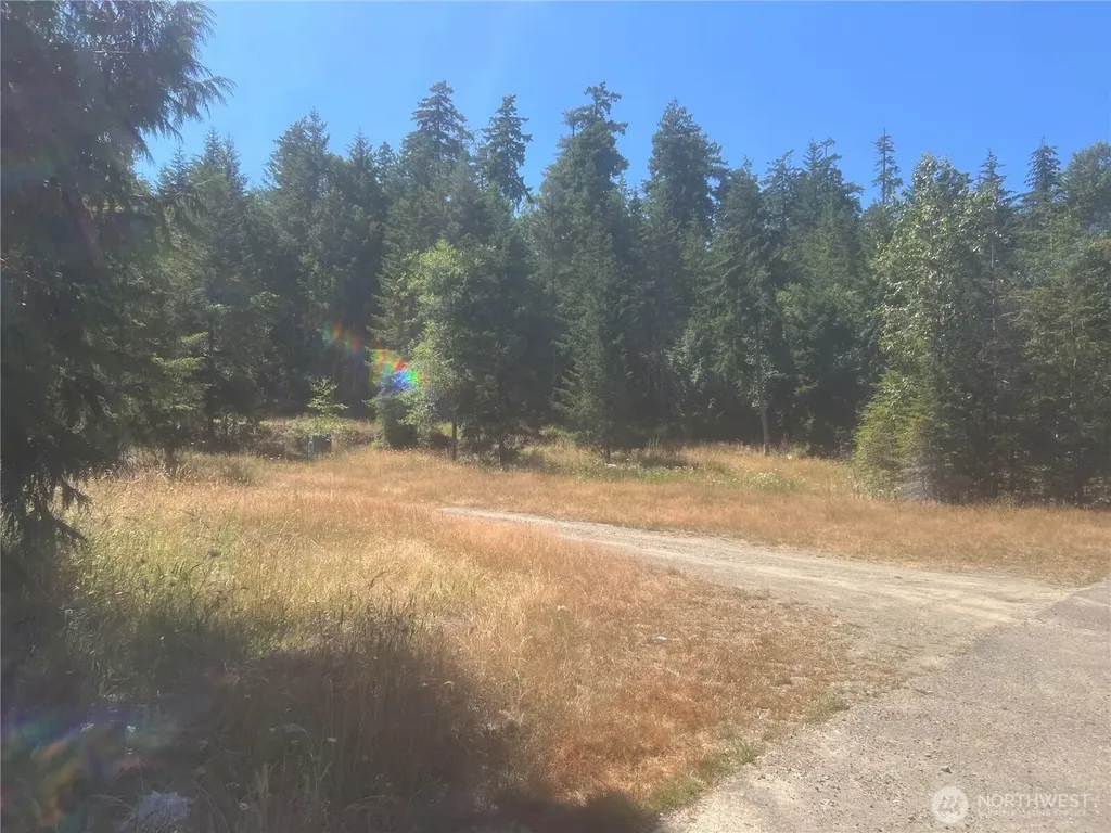 3 Mt Jupiter Road Brinnon WA 98320