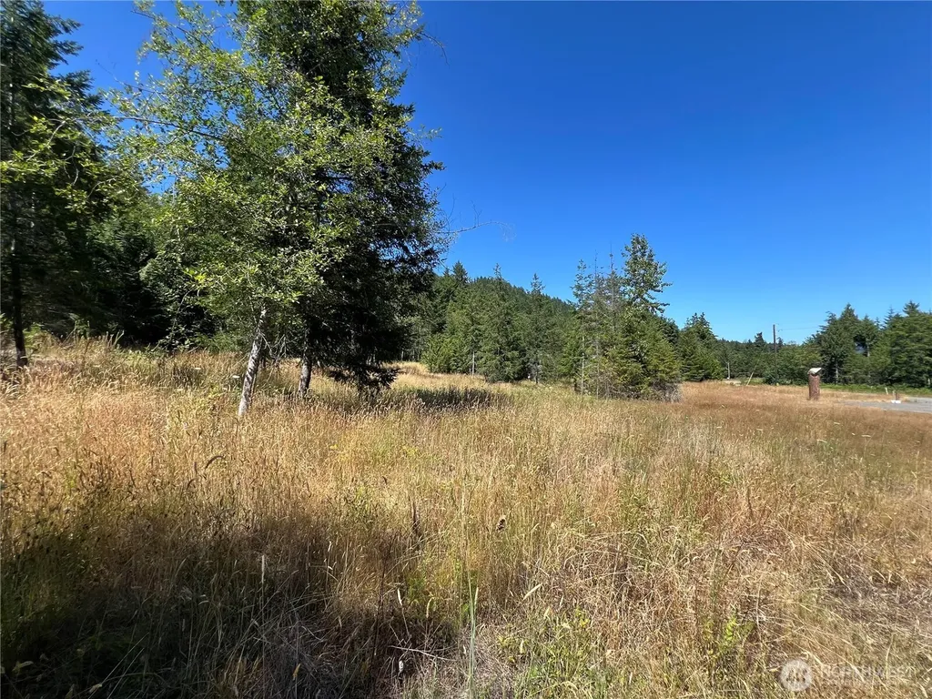 3 Mt Jupiter Road Brinnon WA 98320