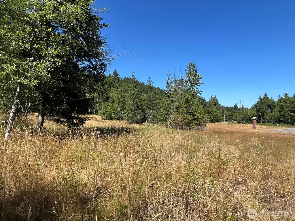 3 Mt Jupiter Road Brinnon WA 98320
