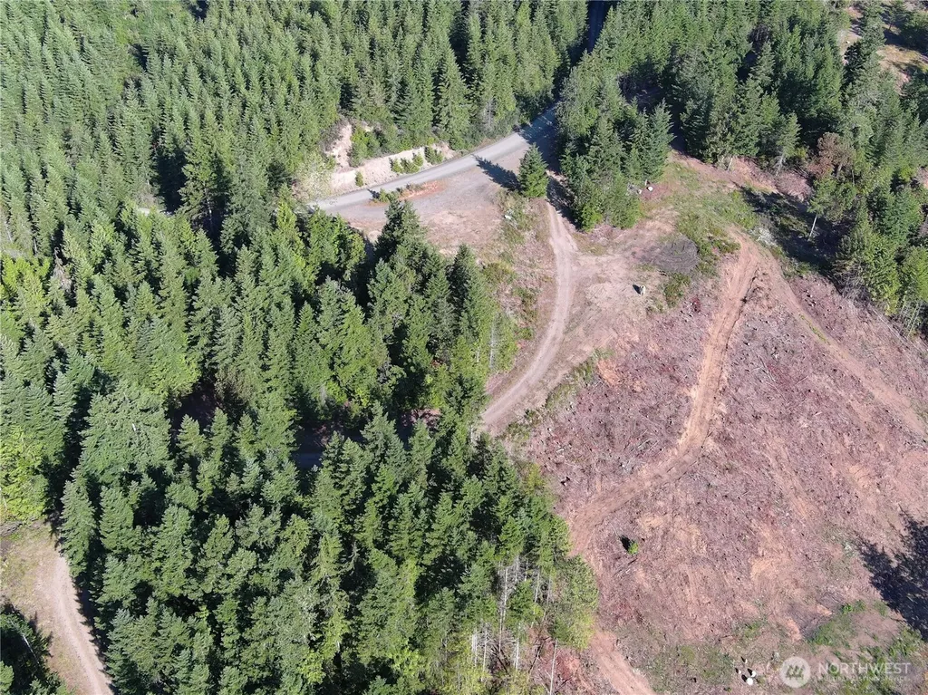3 Mt Jupiter Road Brinnon WA 98320