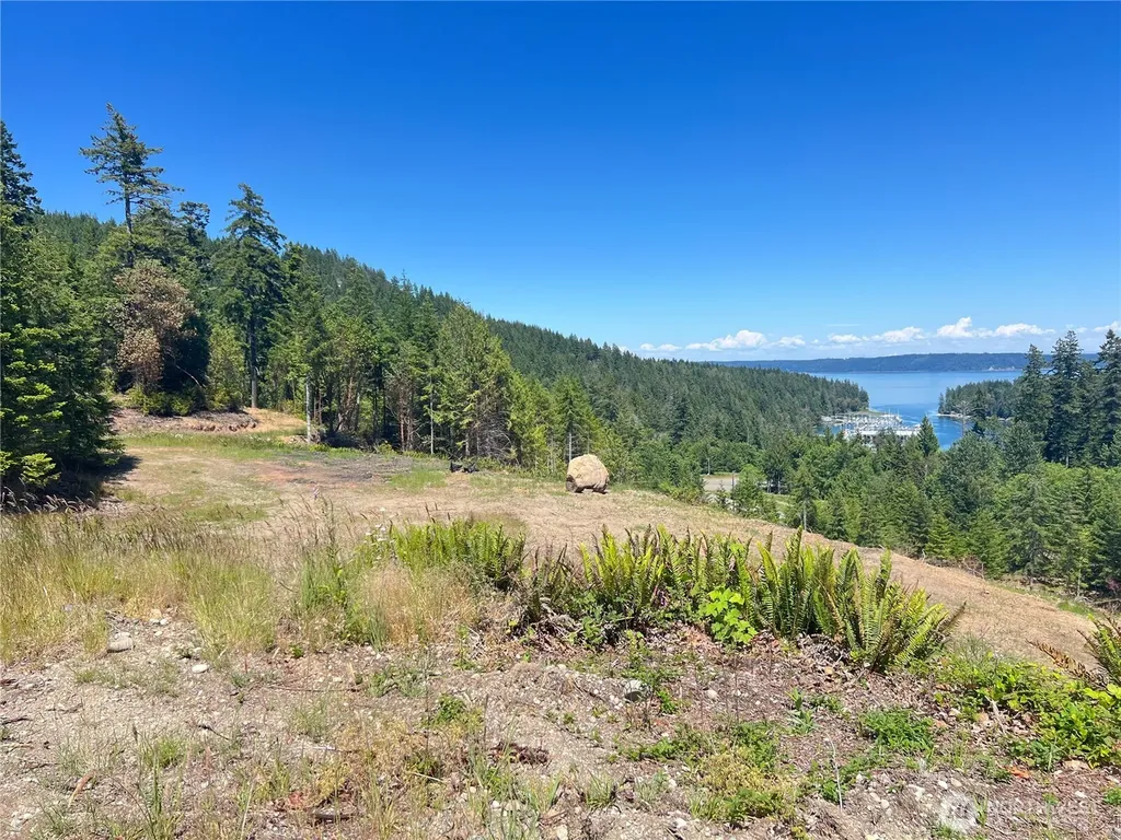 3 Mt Jupiter Road Brinnon WA 98320