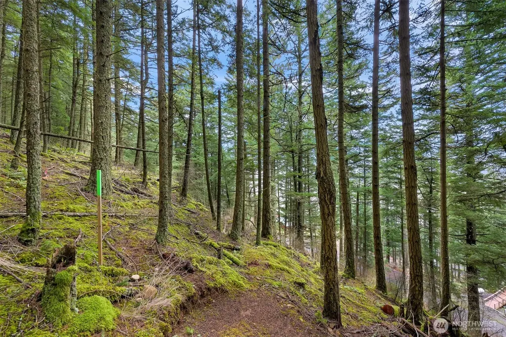 3073 Hales Passage Drive Lummi Island WA 98262