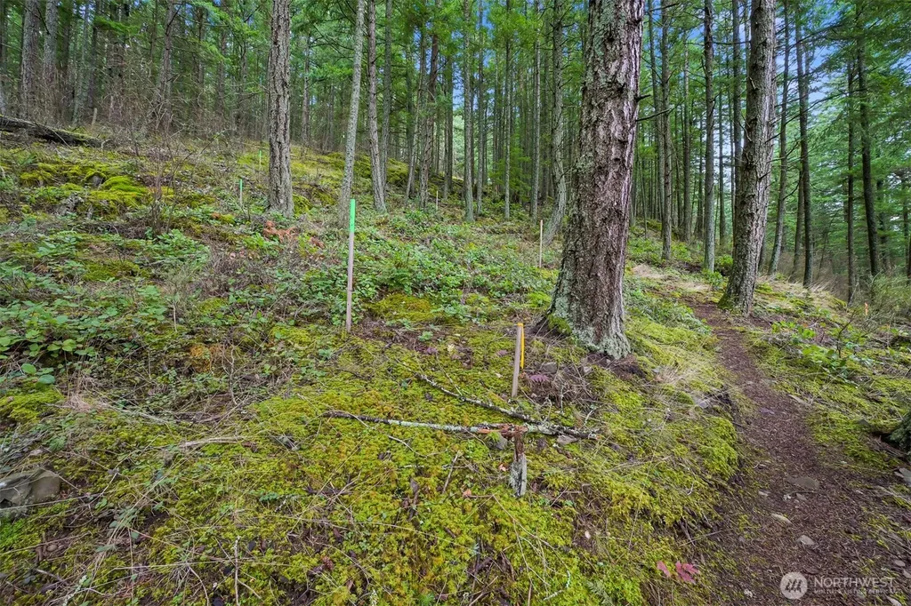 3073 Hales Passage Drive Lummi Island WA 98262