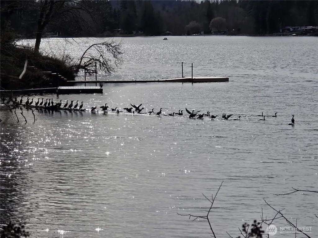 33722 Thomas Road E Eatonville WA 98328