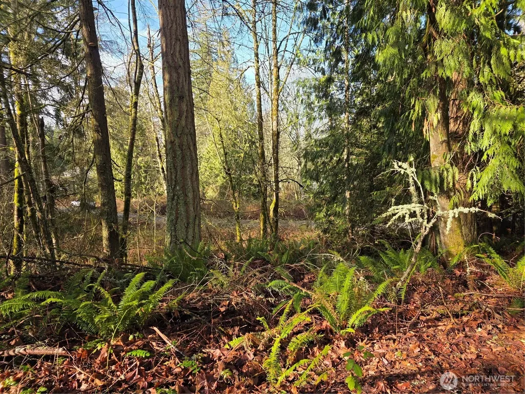 33722 Thomas Road E Eatonville WA 98328