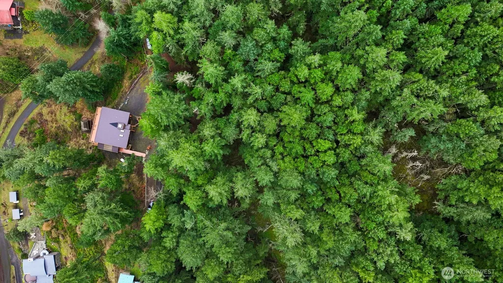 3071 Hales Passage Drive Lummi Island WA 98262