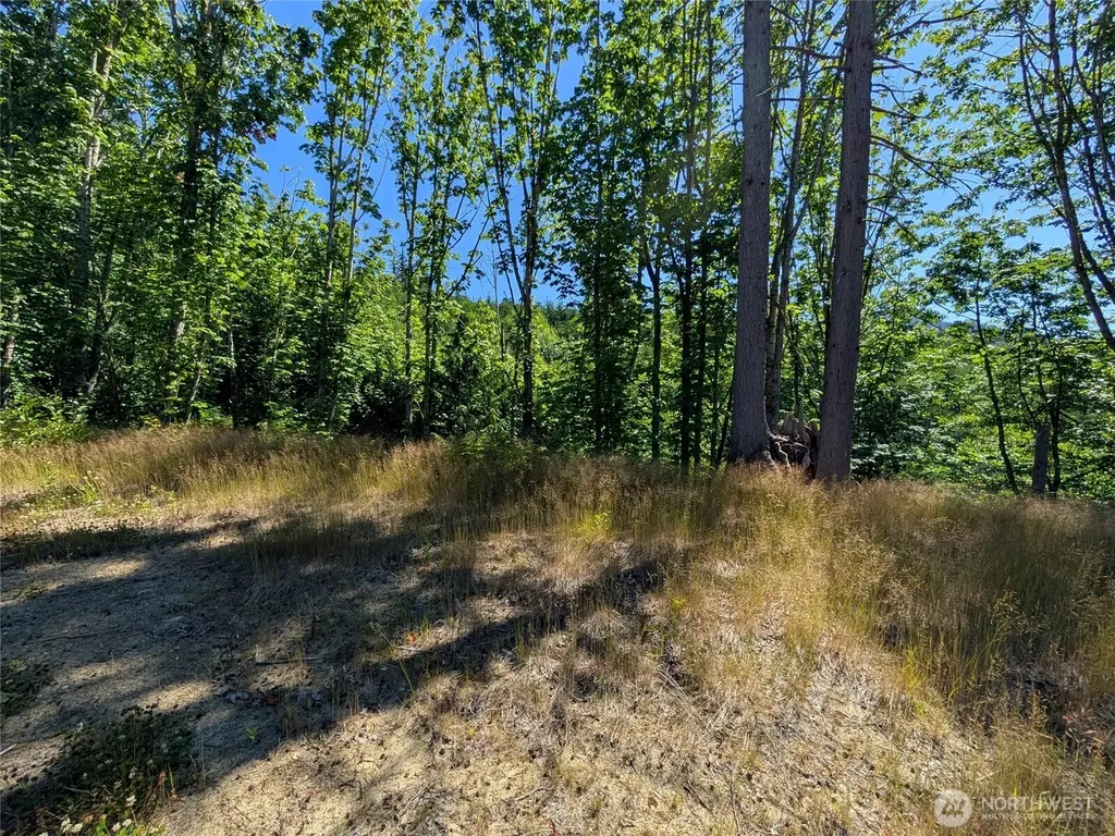 0 Stoney Brook Lane Bellingham WA 98229