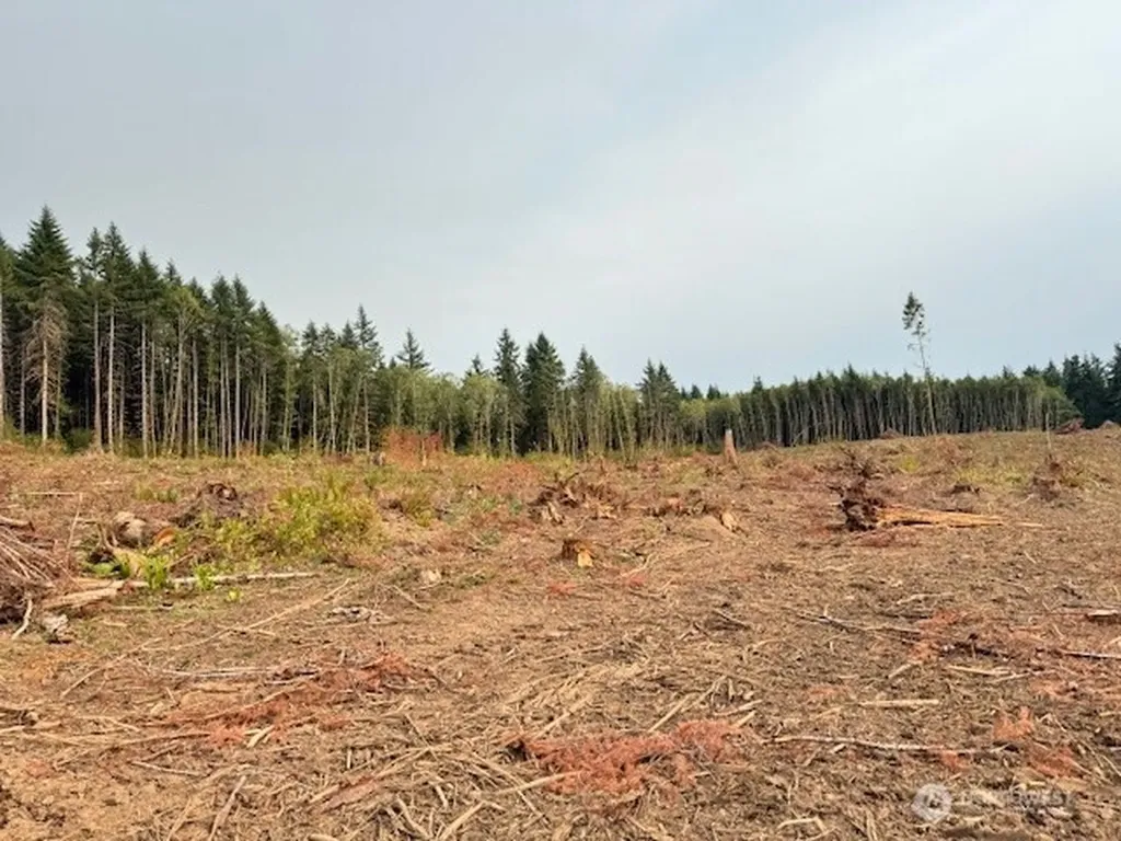 118 Woodberry Lane Winlock WA 98596