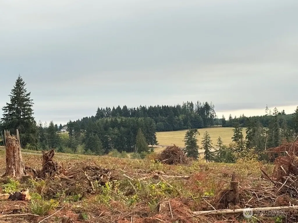 118 Woodberry Lane Winlock WA 98596