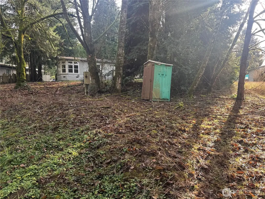 106 Olequa Place Vader WA 98593