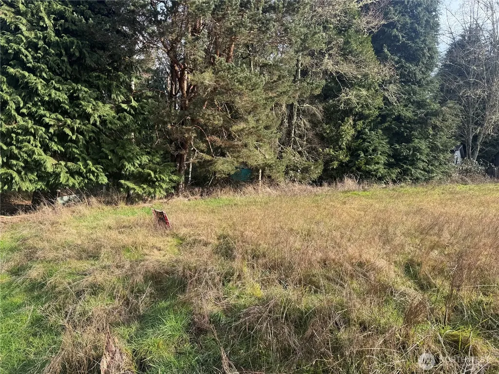 106 Olequa Place Vader WA 98593