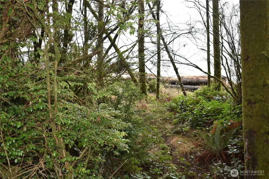 781 Mariner Court SE Ocean Shores WA 98569