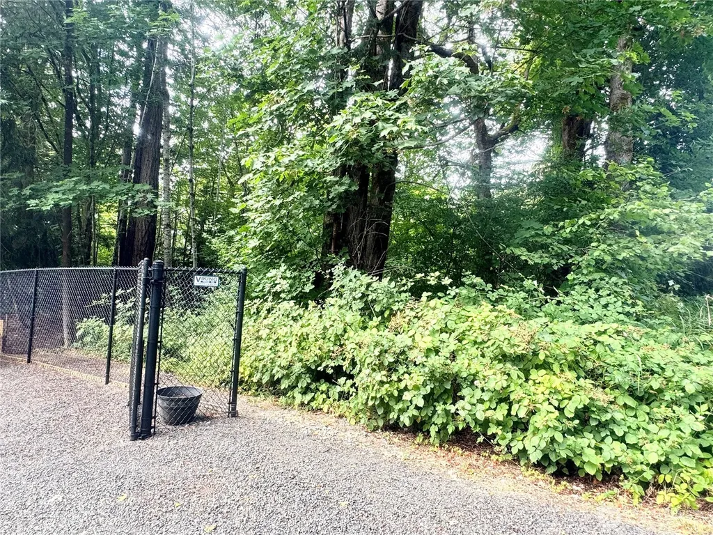 450 E Parkway Boulevard Shelton WA 98584