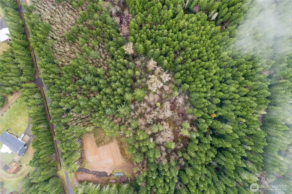 0 Greenberg Lane Belfair WA 98528