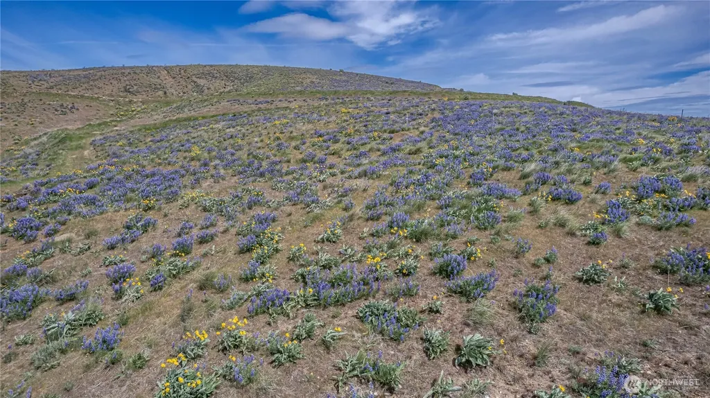 0 Burch Mountain Road Wenatchee WA 98801