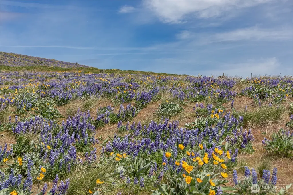 0 Burch Mountain Road Wenatchee WA 98801