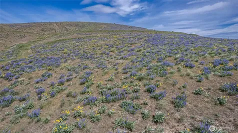 0 Burch Mountain Road Wenatchee WA 98801