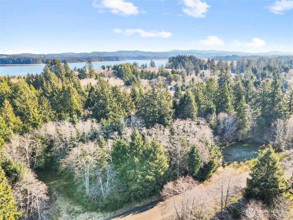 0 Ranta Road South Bend WA 98586
