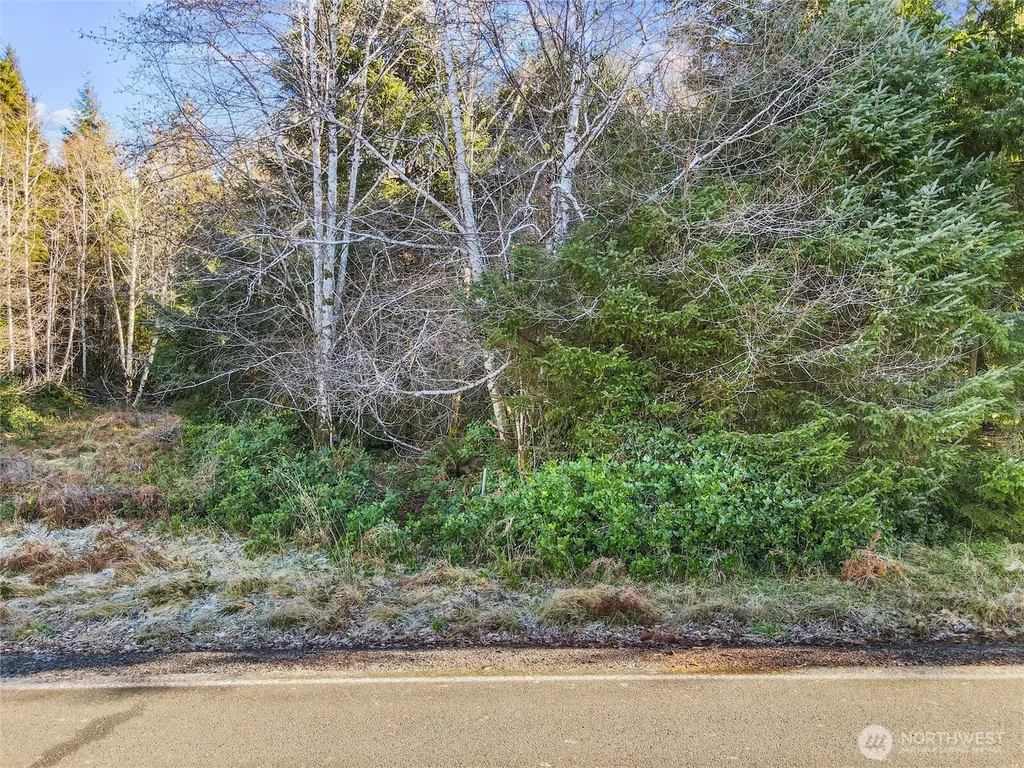 0 Ranta Road South Bend WA 98586