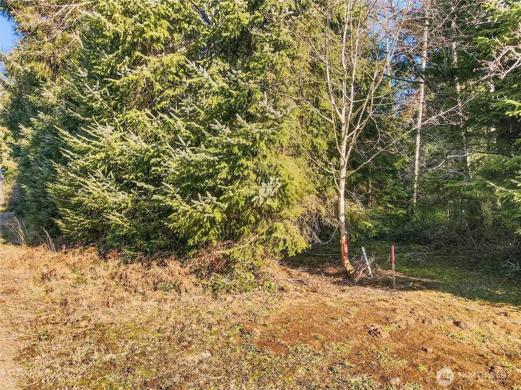 0 Ranta Road South Bend WA 98586