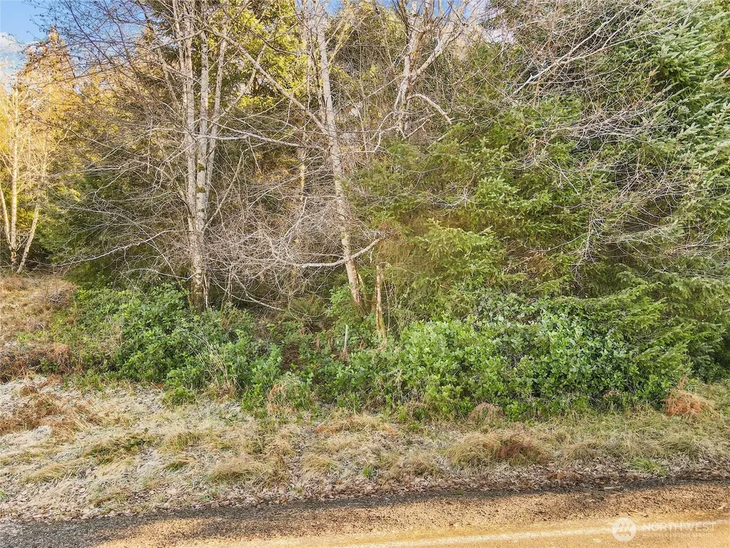 0 Ranta Road South Bend WA 98586