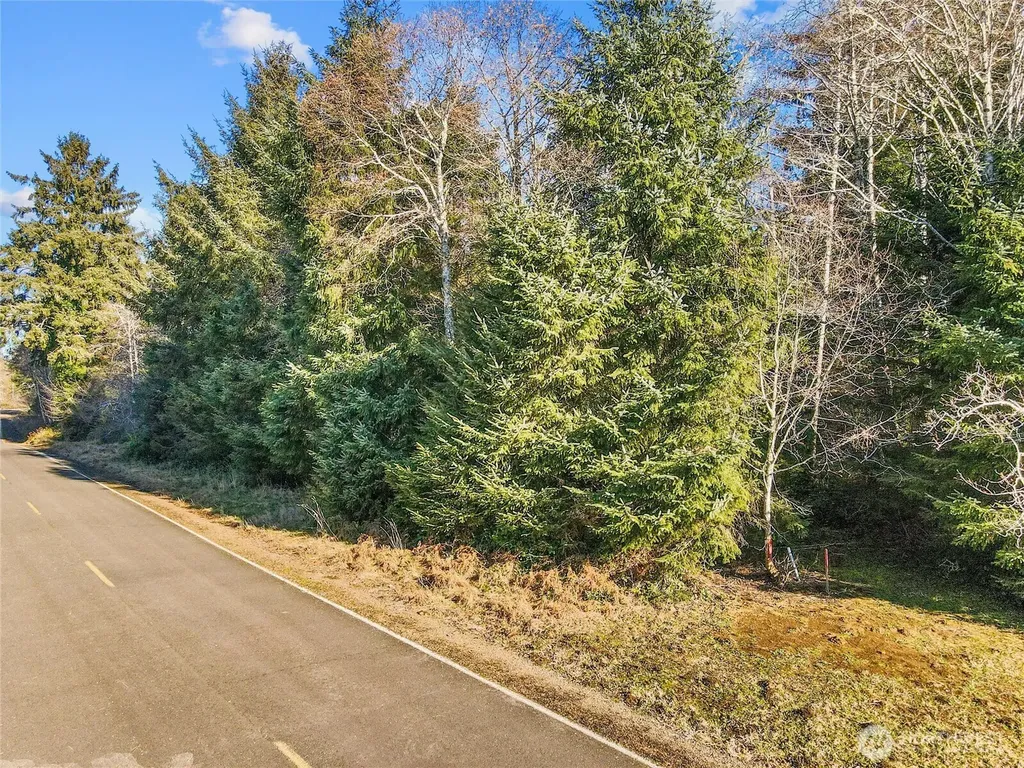 0 Ranta Road South Bend WA 98586