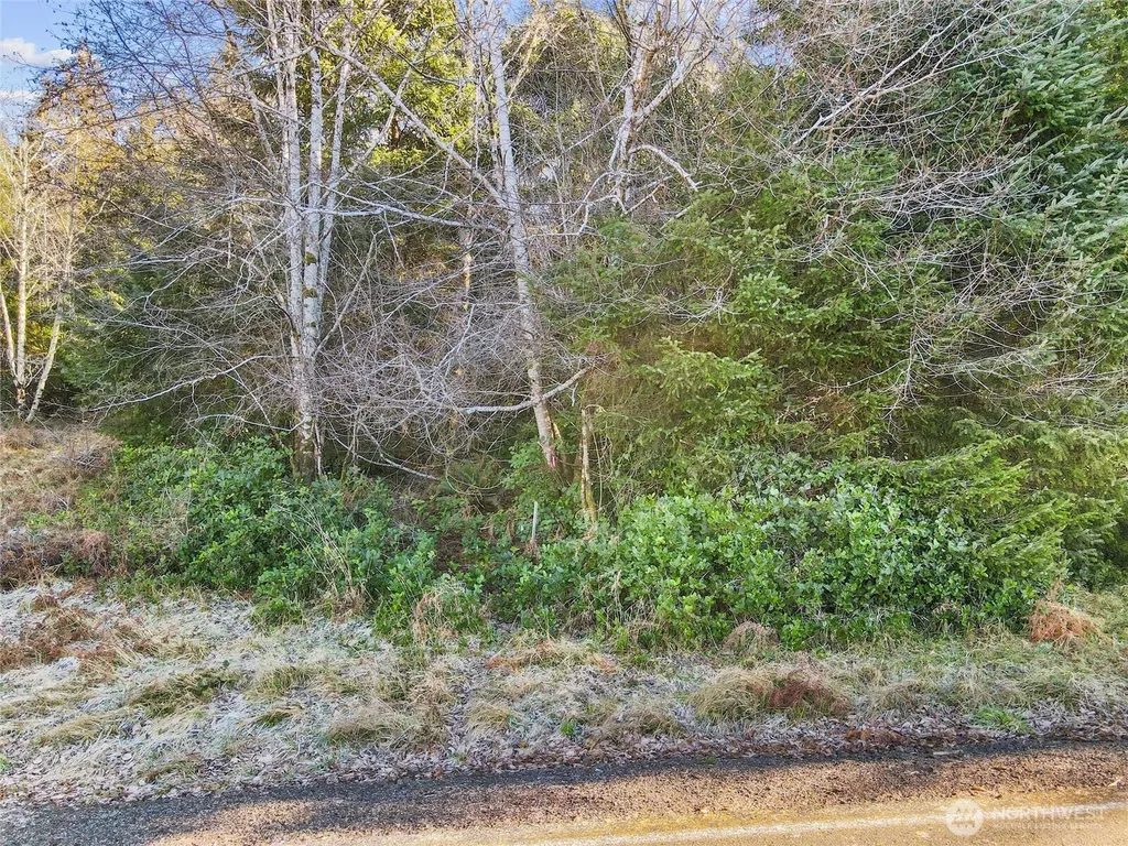 0 Ranta Road South Bend WA 98586