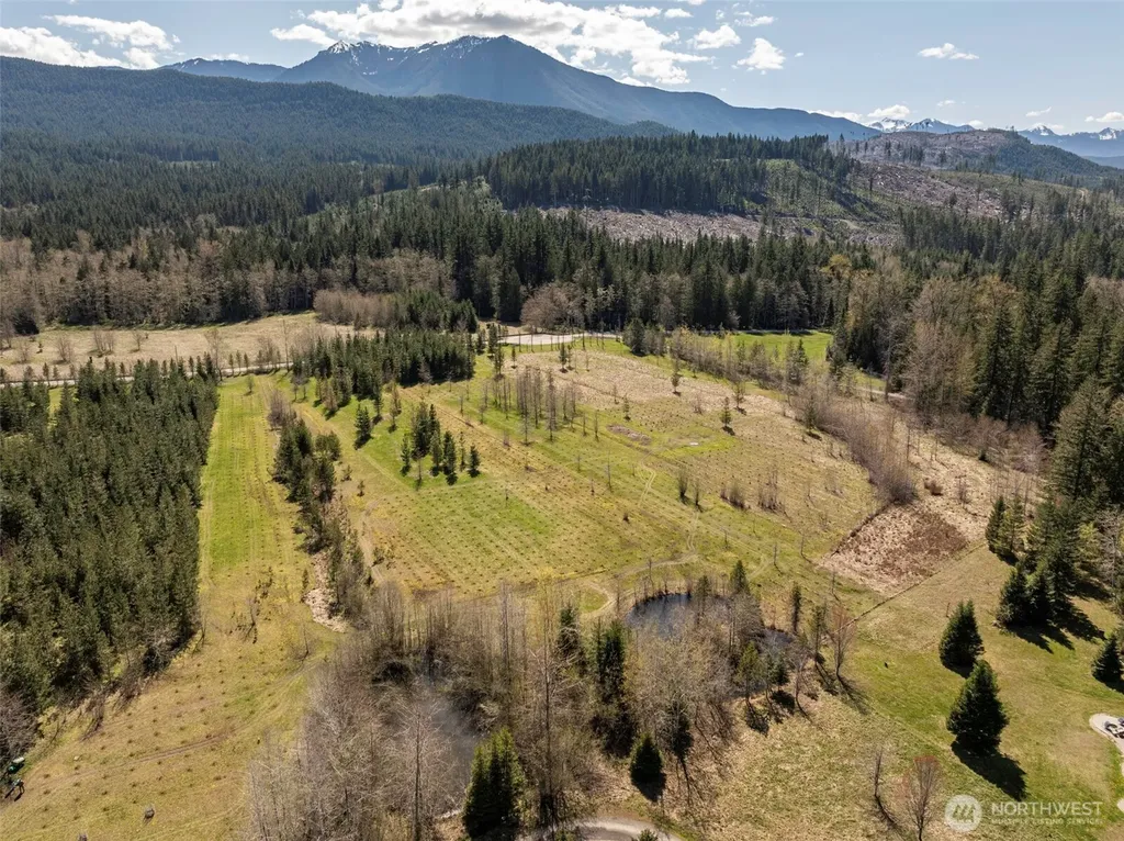 4890 Lost Mountain Road Sequim WA 98382