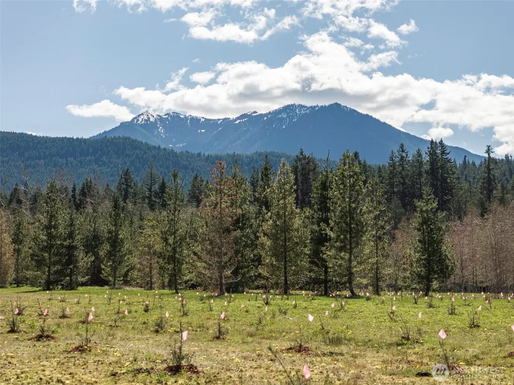 4890 Lost Mountain Road Sequim WA 98382