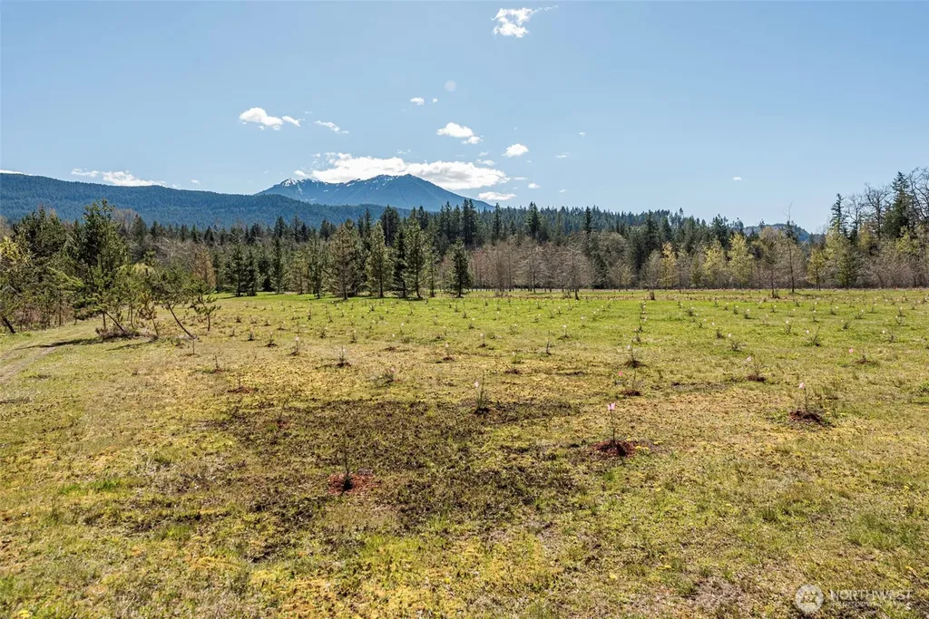 4890 Lost Mountain Road Sequim WA 98382