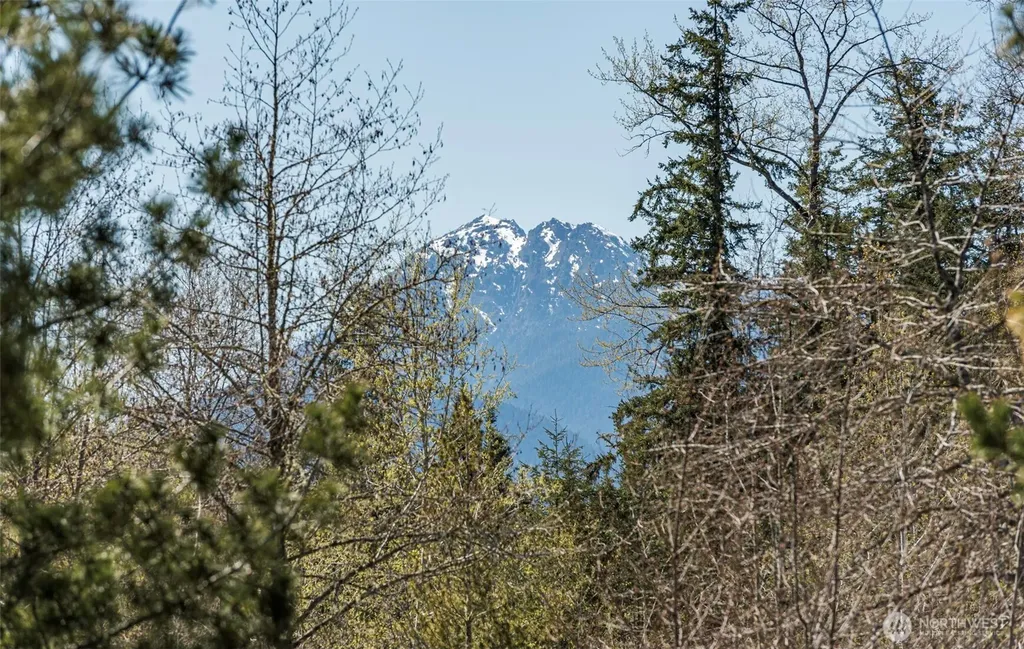 4890 Lost Mountain Road Sequim WA 98382
