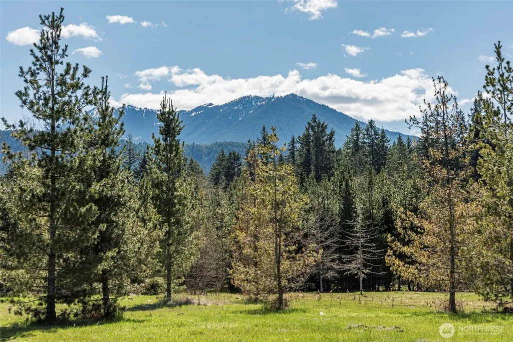 4890 Lost Mountain Road Sequim WA 98382