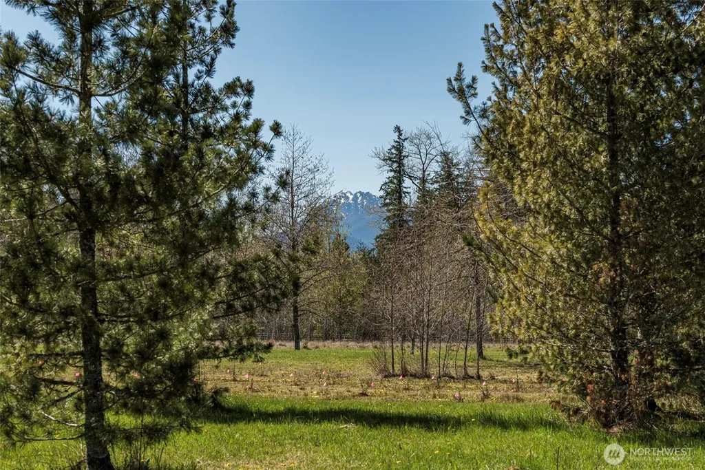 4890 Lost Mountain Road Sequim WA 98382