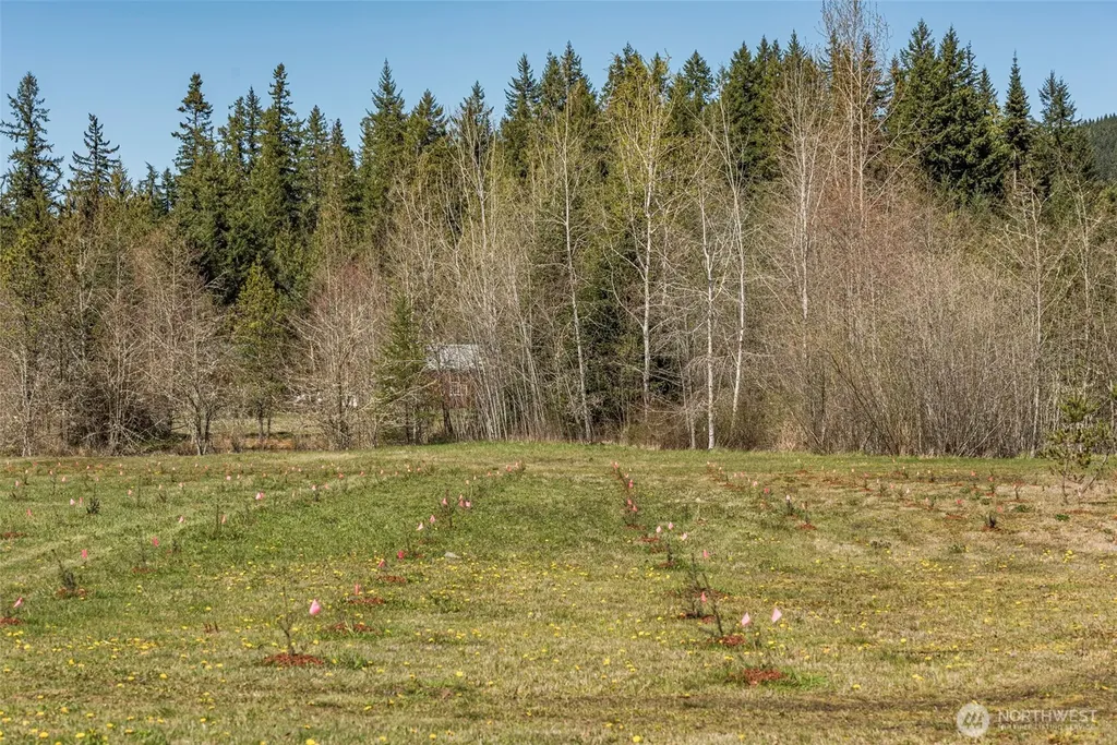 4890 Lost Mountain Road Sequim WA 98382