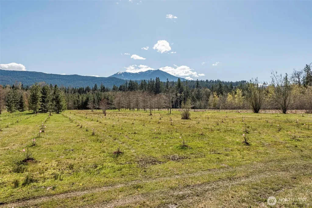 4890 Lost Mountain Road Sequim WA 98382