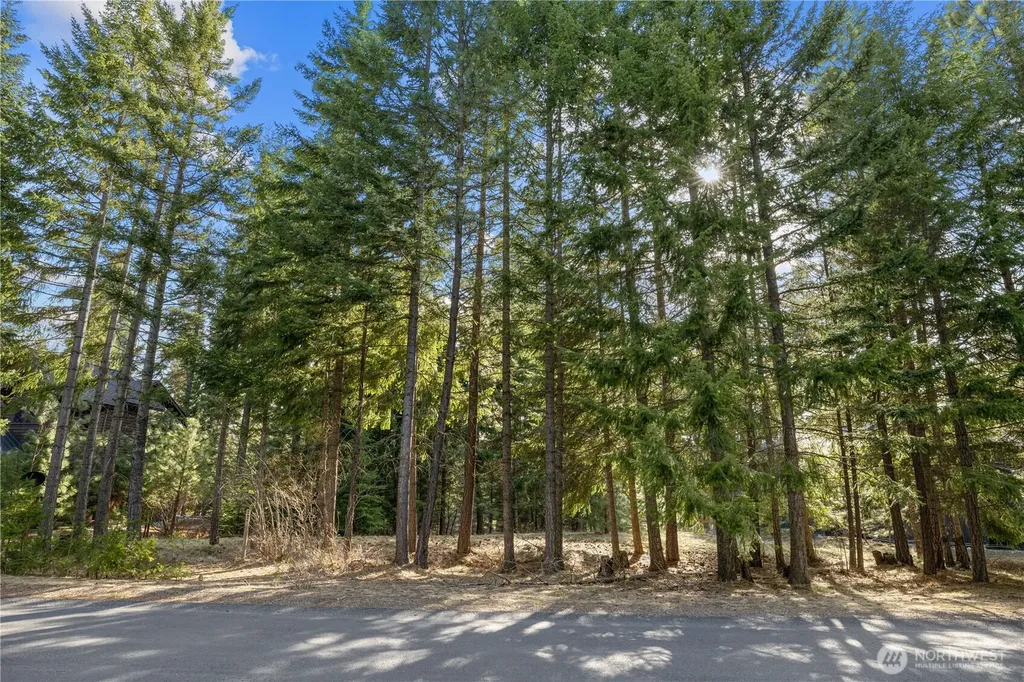 130 Rocking Chair Road Cle Elum WA 98922