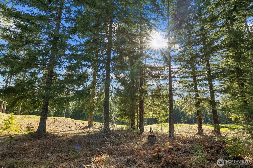 130 Rocking Chair Road Cle Elum WA 98922
