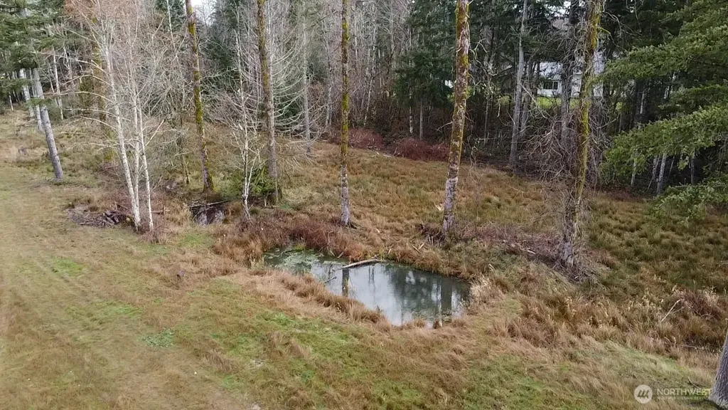 1296 Centralia Alpha Road Chehalis WA 98532