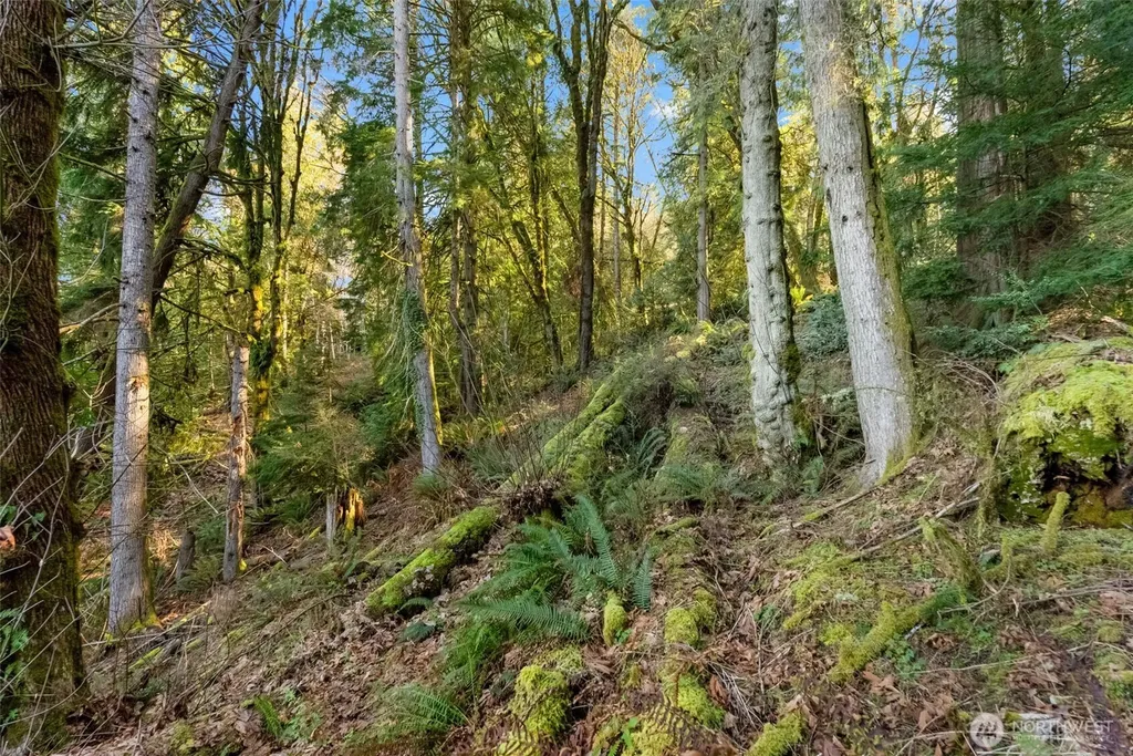 0 Talmo Drive NW Gig Harbor WA 98332