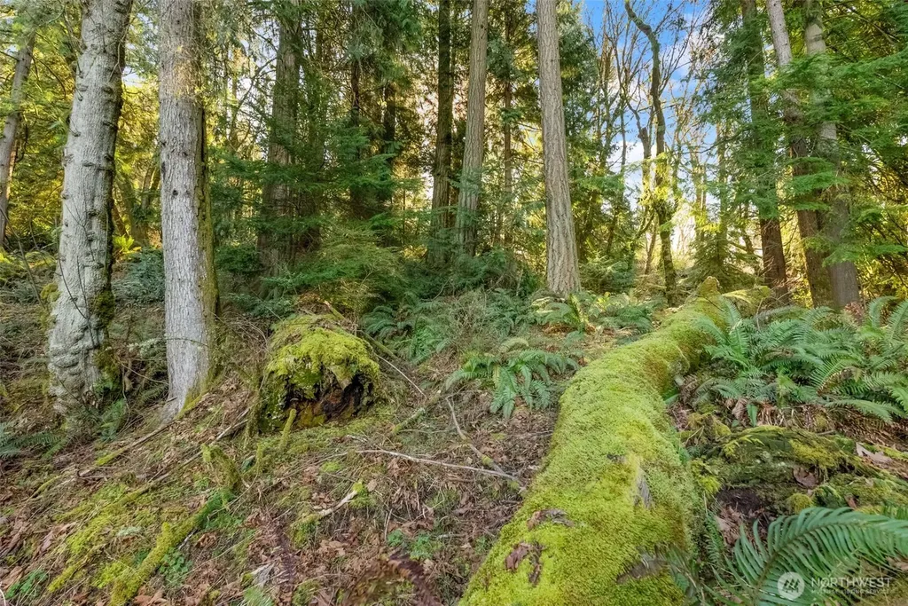 0 Talmo Drive NW Gig Harbor WA 98332